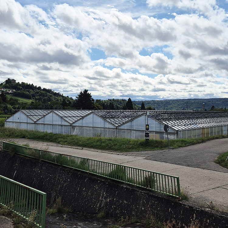 Außenansicht des Pasiora-Gewächshauses – Einfahrt